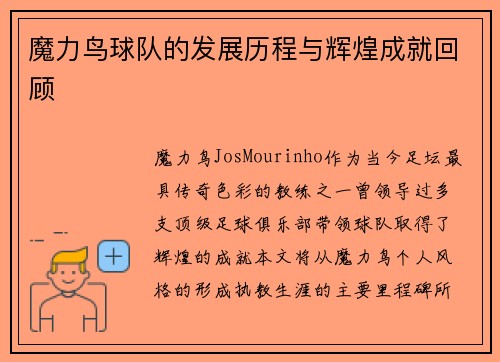 魔力鸟球队的发展历程与辉煌成就回顾