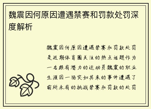 魏震因何原因遭遇禁赛和罚款处罚深度解析